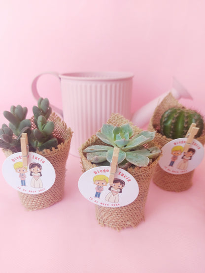 MINI CÁCTUS / SUCULENTAS